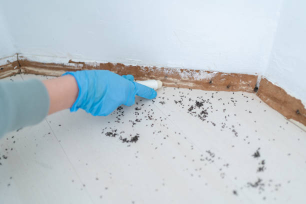 Pest Control for Restaurants in Lewisville, WA