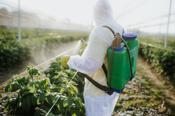 Reliable Lewisville, WA Pest Control Solutions